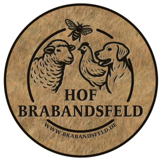 Logo_Brabandsfeld HG